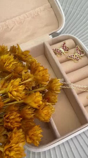 Conjunto Papillons